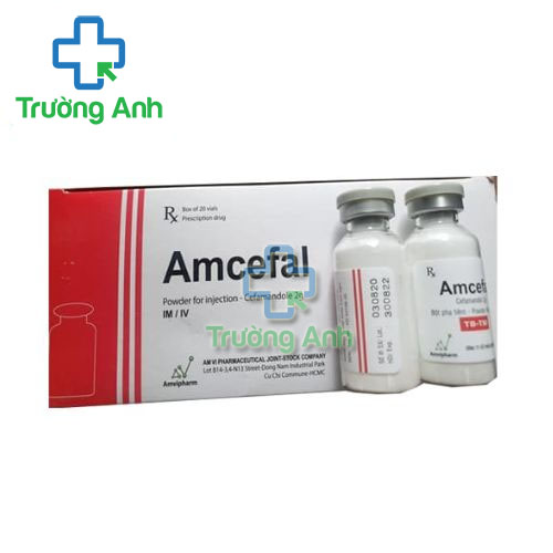 Amcefal 2g - Thuốc điều trị nhiễm khuẩn nặng của dược phẩm An Vi