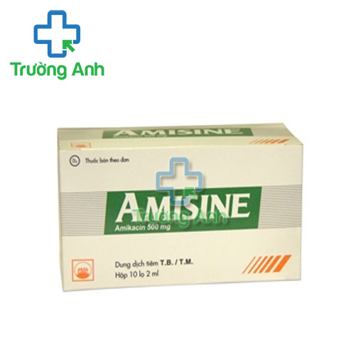 Amisine 500mg Pymepharco - Thuốc tiêm điều trị nhiễm khuẩn nặng