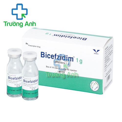 Bicefzidim 1g - Thuốc điều trị nhiễm khuẩn nặng Bidiphar