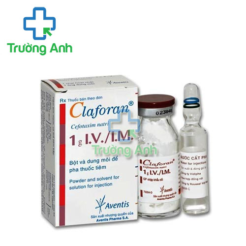 Claforan 1g Zentiva - Thuốc điều trị nhiễm khuẩn hiệu quả