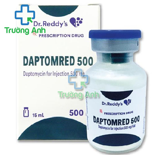 Daptomred 500 - Thuốc điều trị nhiễm khuẩn hiệu quả Dr. Reddy's 