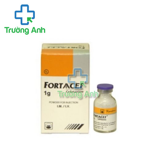 Fortaacef 1g Pymepharco - Thuốc điều trị nhiễm khuẩn hiệu quả