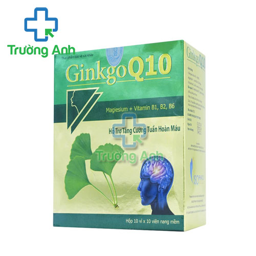 Gink Choline Q10 - Sản phẩm hỗ trợ tăng cường lưu thông mạch máu não