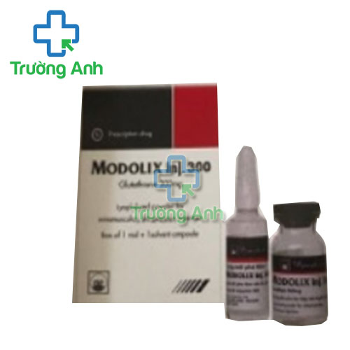 Modolix inj 300 Pymepharco - Thuốc hỗ trợ làm giảm độc tính xạ trị, hoá chất