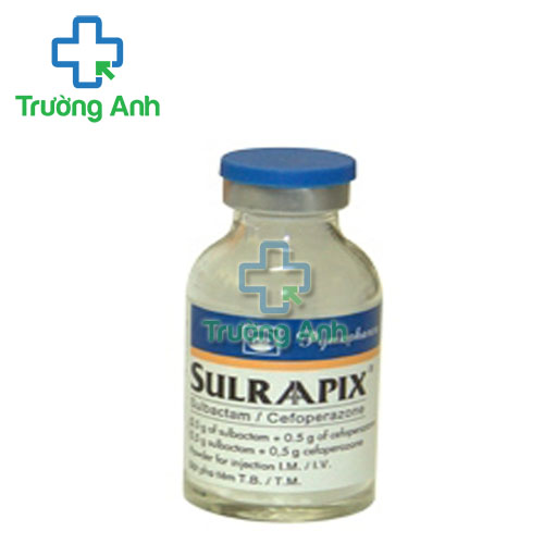 Sulraapix 1g Pymepharco - Thuốc điều trị nhiễm trùng hiệu quả