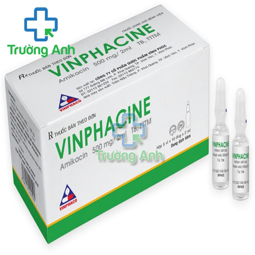 Vinphacine 500mg/2ml - Thuốc điều trị nhiễm khuẩn của VINPHACO