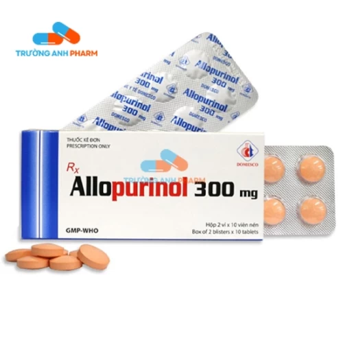Thuốc Allopurinol 300Mg - Công ty Công ty cổ phần xuất nhập khẩu Y tế Domesco 
