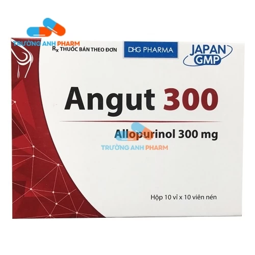 Thuốc Angut 300Mg - Hộp 10 vỉ x 10 viên.