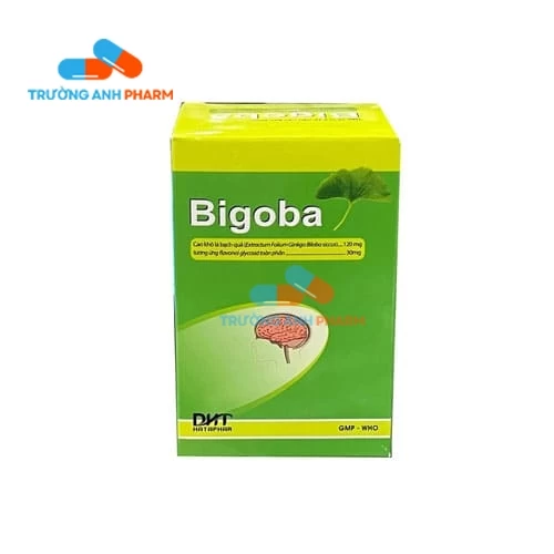 Thuốc Bigoba 120Mg - Hộp 10 vỉ x 10 viên