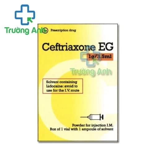 Ceftriaxone EG 1g/3,5ml Pymepharco - Thuốc điều trị nhiễm khuẩn