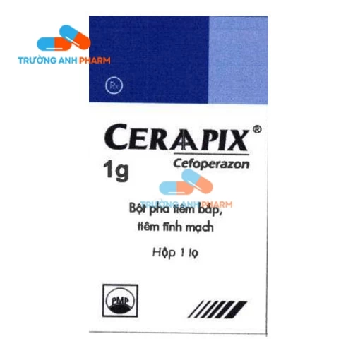 Ceraapix 1g Pymepharco - Thuốc điều trị nhiễm khuẩn dạng tiêm truyền tĩnh mạch