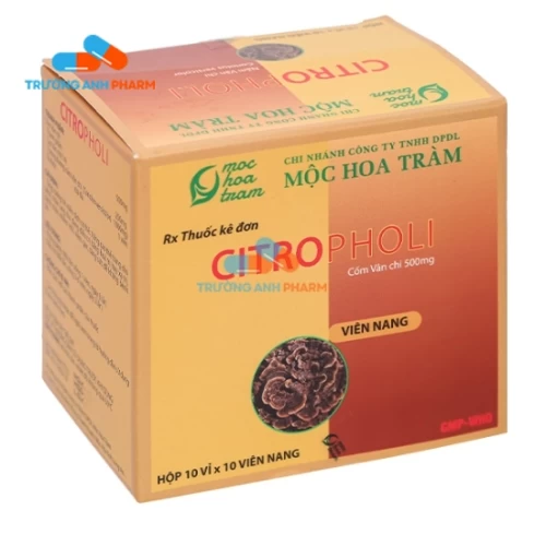 Thuốc Citropholi Capsule - Hộp 10 vỉ x 10 viên