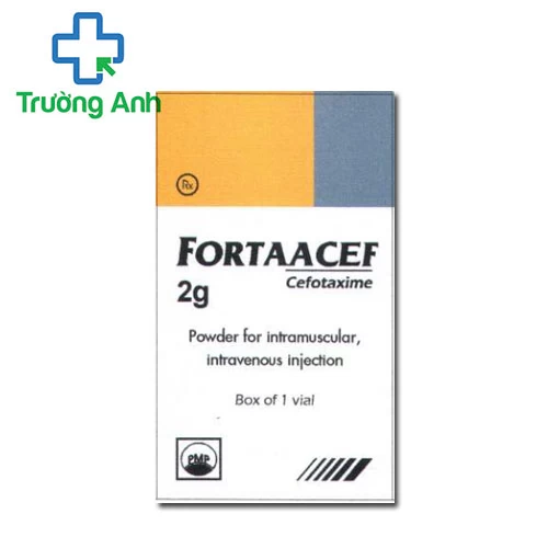 Fortaacef 2g Pymepharco - Thuốc điều trị nhiễm trùng máu
