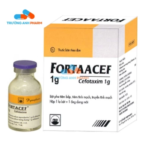 Fortaacef 2g Pymepharco - Thuốc điều trị nhiễm trùng máu