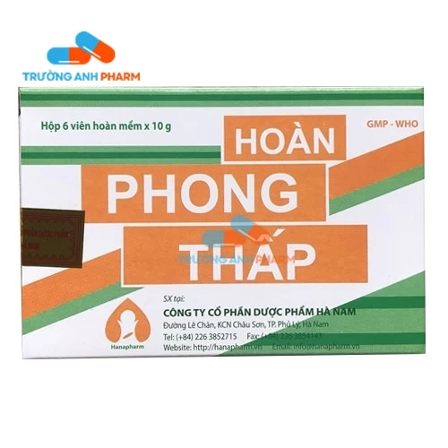 Hoàn phong thấp Hà Nam - Hoàn mềm điều trị phong tê thấp