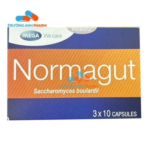 Thuốc Normagut - Ardeypharm GMBH 
