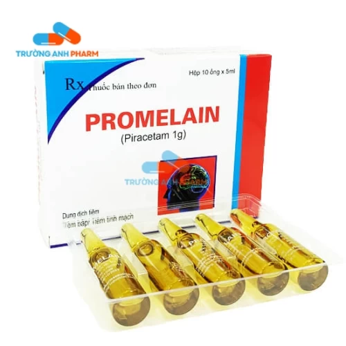 Thuốc Promelain 1G/5Ml - Hộp 10 ống 5ml