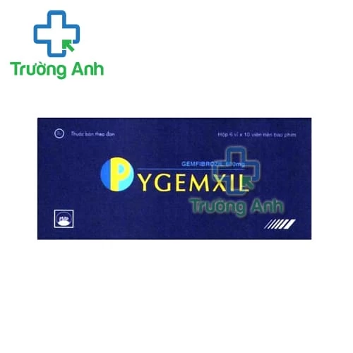 Pygemxil 600mg Pymepharco - Thuốc điều trị tăng lipid huyết