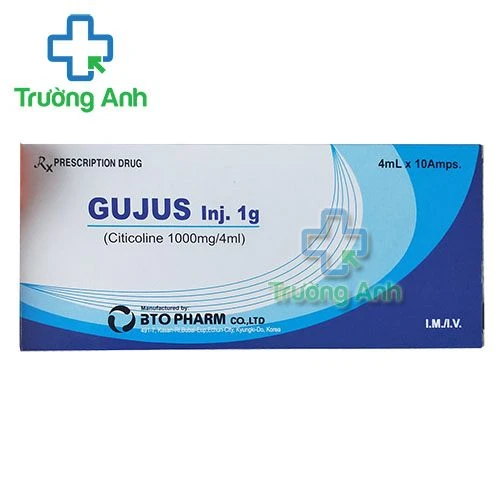 Thuốc Gujus Inj 1000Mg/4Ml - BTO Pharm Co., LTD 