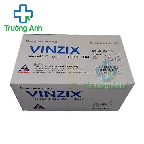 Thuốc Vinzix 20Mg/2Ml - Hộp 10 vỉ x 5 ống x 2ml