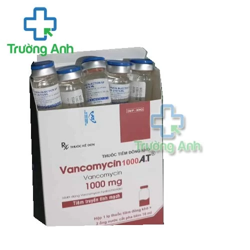 Vancomycin 1000 A.T - Thuốc phòng và điều trị nhiễm khuẩn