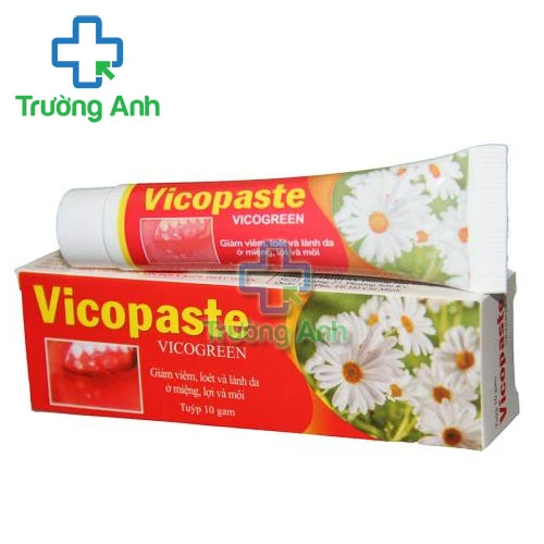 Vicopaste 10g - Sản phẩm hỗ trợ điều trị nhiệt miệng, sâu răng