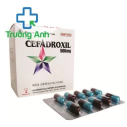 Cefadroxil 500mg Armephaco - Thuốc điều trị nhiễm khuẩn hô hấp