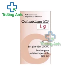 Ceftazidime EG 0,5g Pymepharco - Thuốc điều trị nhiễm khuẩn