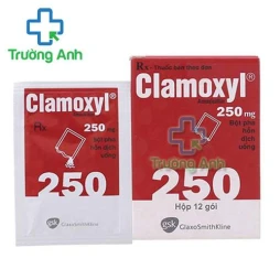 Clamoxyl 250Mg - Glaxo Wellcome Production 