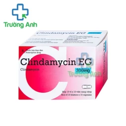 Clindamycin EG 300mg Pymepharco - Thuốc điều trị nhiễm khuẩn