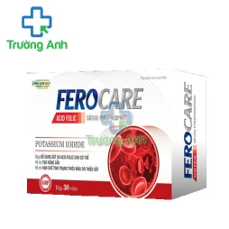 Ferocare Phú Sơn Nam - Viên uống bổ sung sắt DP Phú Sơn Nam