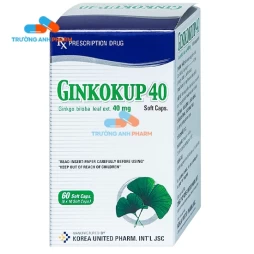 Thuốc Ginkokup 40 Mg - Hộp 2 túi nhôm x 3 vỉ x 10 viên
