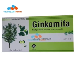 Thuốc Tiêm Ginkomifa -  Hộp 10 ống x 5ml