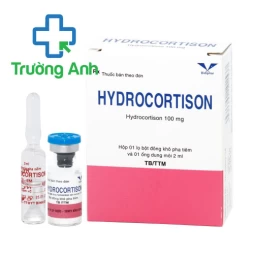 Hydrocortison 100mg Bidiphar