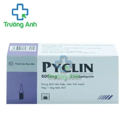 Pyclin 600 Pymepharco - Thuốc điều trị  nhiễm khuẩn nặng của Pymepharco