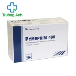 Pimenem 500mg Pymepharco - Thuốc điều trị nhiễm khuẩn