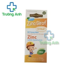 Thực Phẩm Bảo Vệ Sức Khỏe Zincsirof Syrup 100Ml - Công ty cổ phần sinh học dược phẩm Biopro 