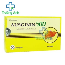Thuốc Ausginin 500Mg - Công ty cổ phần Dược phẩm Nam Hà 