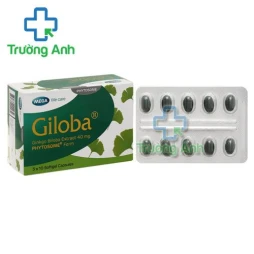 Thuốc Giloba 40Mg -  Hộp 3 vỉ x 10 viên