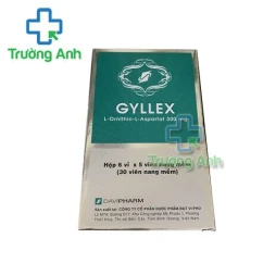 Thuốc Gyllex 300Mg - Công ty CP Dược phẩm Đạt Vi Phú 