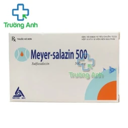 Thuốc Meyer-Salazin 500Mg - Hộp 10 vỉ x 10 viên