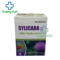 Thuốc Sylicaba Soft Cap -   Hộp 6 vỉ x 10 viên nang