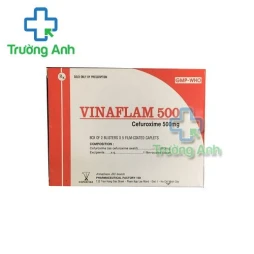 Thuốc Vinaflam 500 Mg -   Hộp 2 vỉ x 5 viên