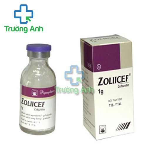 Zoliicef 1g Pymepharco - Thuốc điều trị nhiễm khuẩn hiệu quả của Pymepharco 
